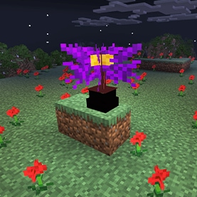 A purple shrub on a grass block