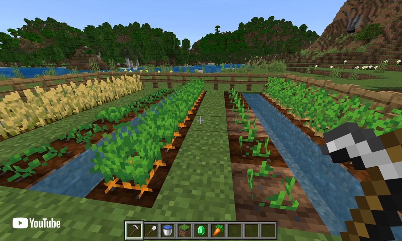 Build a simple farm